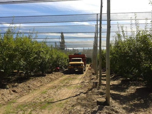 Imagen 7 de 30 de 3 Fincas Con Bodega En Venta Cañada Seca.