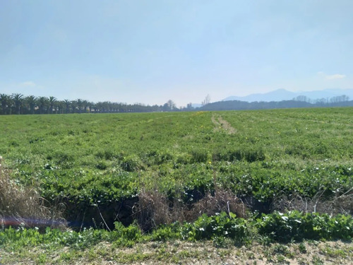 Ultimas Dos Parcelas En Venta En Isla De Maipo