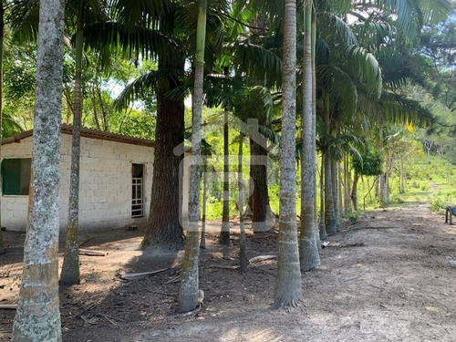 Imagem 4 de 30 de Lindo E Luxuoso Sítio - 79 - 68959884
