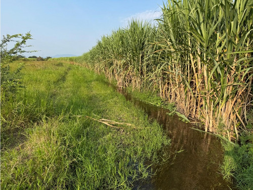 Macrolote En Venta A Bordo De Carretera Jojutla Galeana