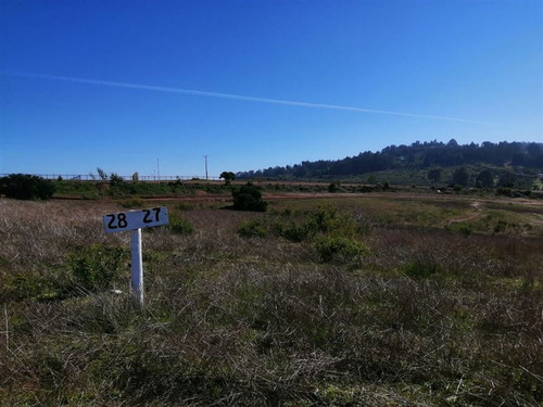 Sitio En Venta En Puchuncaví Cercano A Playa Y Supermercado