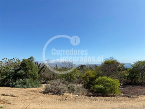 Terreno De 6.000 M2 En Venta, Segunda Linea, Coquimbo