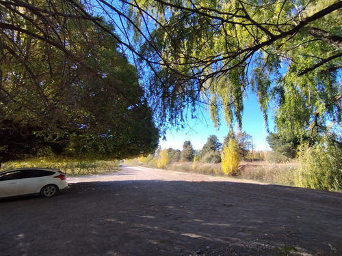 Venta De Chacra Con Casa En Allen, 6 Hectareas