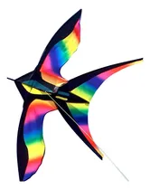 Comprar Sk Cometa De Loro Gigante Cometa Con Cuerda De Arcoíris Para