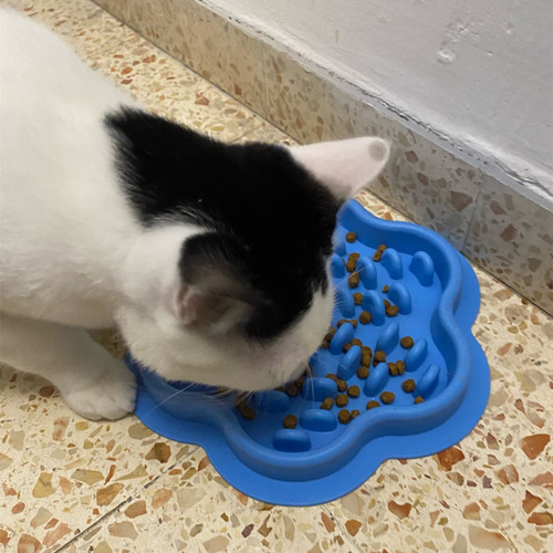 Tazón De Comida Lenta Para Mascotas De Silicona