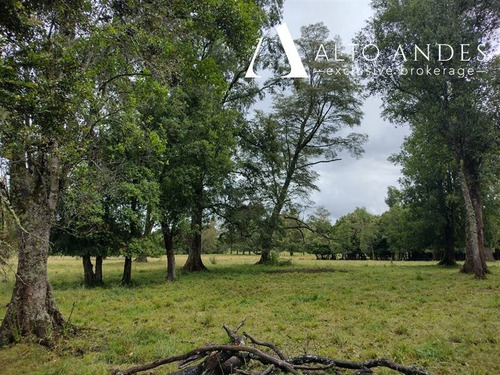 Imagen 10 de 19 de Sitio En Venta En Puyehue
