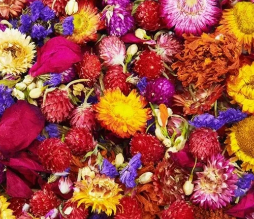 Flores Importadas Deshidratadas Para Hamsters Roedores Jerbo
