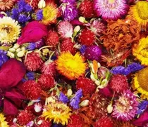Comprar Flores Importadas Deshidratadas Para Hamsters Roedores Jerbo