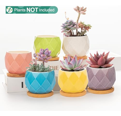 Conjunto De 6 Macetas Pequeñas Para Suculentas - Mini Maceta