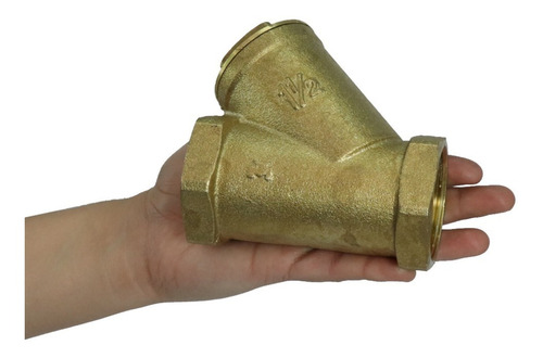 Valvula Check Retencion Columpio 1-1/2puLG 21600340