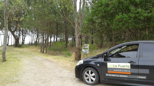 Campo En Colonia.