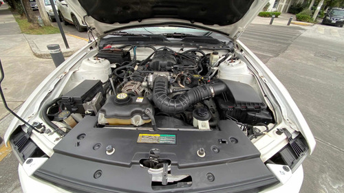 Imagen 14 de 15 de Ford Mustang 2009 Shelby Convertible Mt