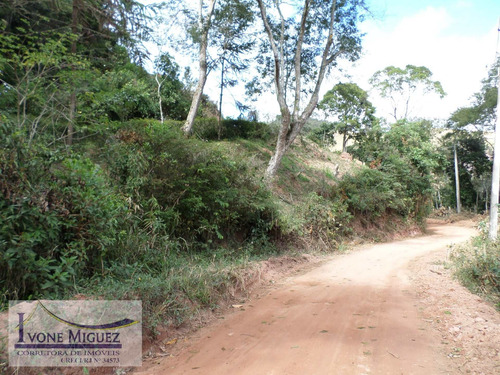 Imagem 3 de 15 de Terreno Em Palmares - Paty Do Alferes - 2014