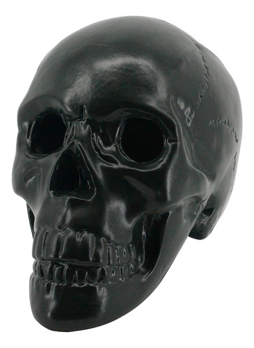 Tronco De Gas Con Forma De Calavera Con Huecos En Las Cuenca