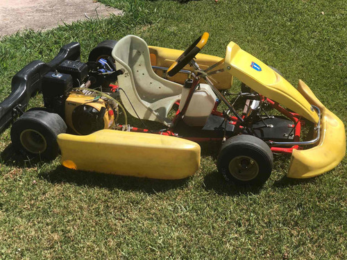 Karting Para Niño Marca M101 Con Motor 4t Niwa