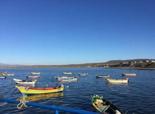 Hermosa Parcela En Coquimbo A Pasos De La Playa En Tongoy
