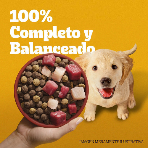Pedigree Sano Crecimiento Etapa 1 Perro Cachorro 21kg