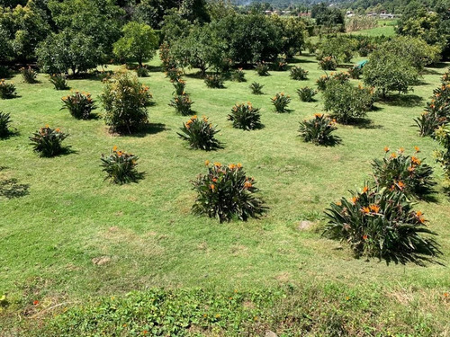 Imagen 3 de 4 de Terreno En Venta