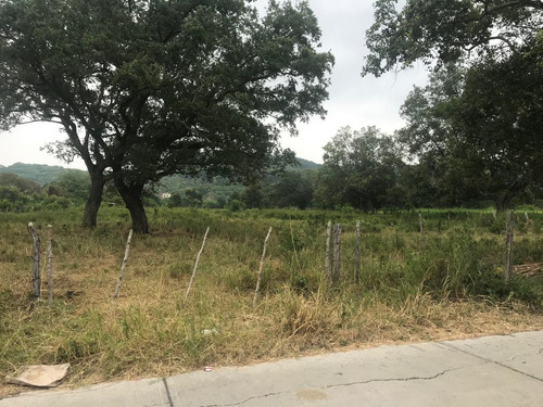 Terreno En Venta En Naranjos En Excelente Ubicación