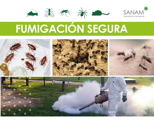 Imagen 9 de 10 de Limpieza De Tanques, Fumigación, Desinfeccion