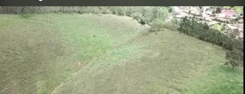 Imagem 12 de 14 de 54ne- Terreno 1000m2 R$40.000 Mil -localização Na Descrição