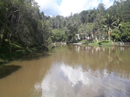 Imagem 2 de 15 de Sitio - 403 - 69427609