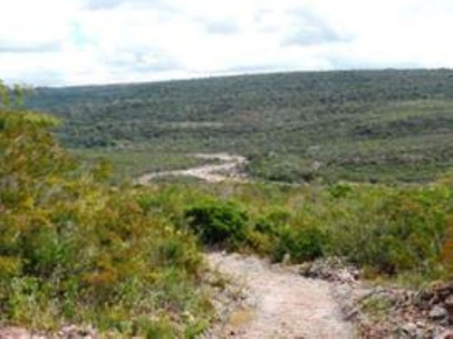 Imagem 12 de 25 de Terreno À Venda, 1000 M² Por R$ 80.000 - Chapada Diamantina - Andaraí/ba - Te0009