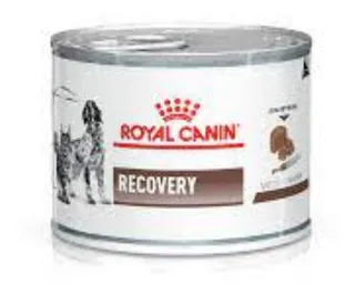 Alimento Royal Canin Recovery P/ Gato O Perro Lata 195g X 3u