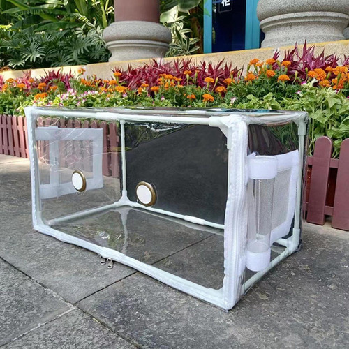 Caja De Bolsa Para Tienda De De Hongos, Cubierta