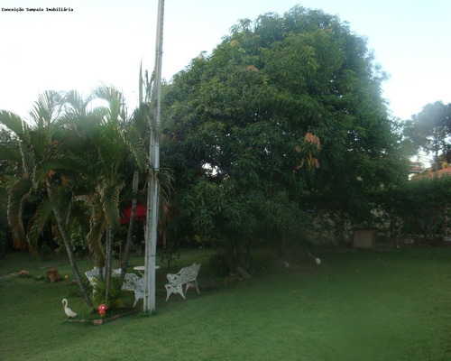 Chácara À Venda Na Chácaras Videiras De Itaici Em Indaiatuba-sp, Bela Vida Imobiliária - Ch00116 - 2150381