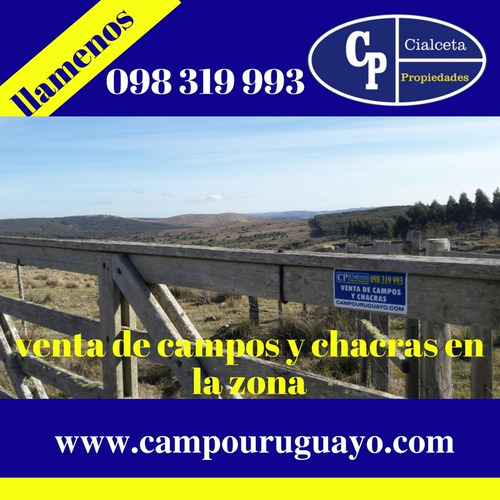 Venta De Campos Y Chacras