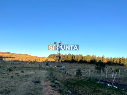 Imagen 5 de 5 de Campo En Venta, Las Cañas, Maldonado