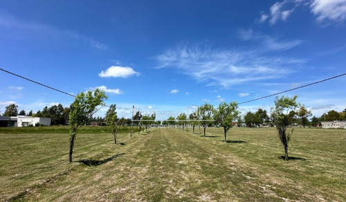 Lote Central En Venta Campos De Roca Ii
