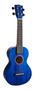 Primera imagen para búsqueda de ukulele concierto