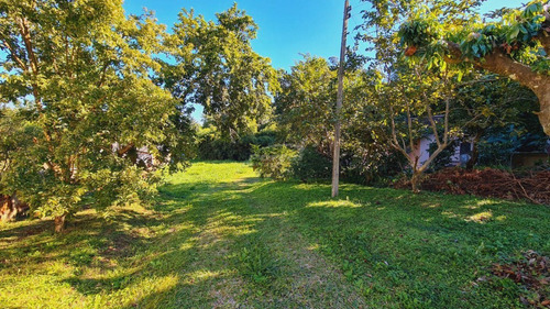 Imagem 14 de 20 de Ótima Oportunidade De Investimento: Terreno No Bairro Itoupava Norte, Medindo 4.979,96 M², Totalmente Plano, E Ainda Com Duas Casas. Zona Residencial 1 (zr1). - 35712107v
