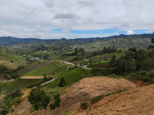 Lotes En Venta Concepciòn Matricula Al 100 % Vereda La Palma