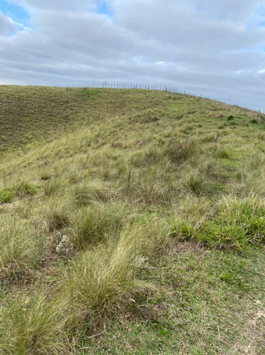Imagem 19 de 30 de Gui5- Terreno Para Chacaras Direto Com Proprietario!!!