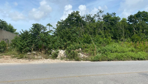 Imagen 3 de 13 de Terreno Venta Cancun Doctores 2500m2