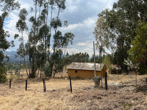 Venta De Lote En Firavitoba Boyaca