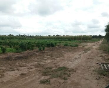 Imagen 3 de 14 de Campo De 100 Hectáreas En Venta - Villa De Soto