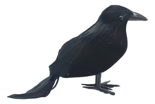 Cuervo Realista Con Plumas Negras Para Decoración De Hallowe