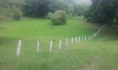 En Venta Finca Ideal Para Ganadería, Cría De Caballos Entre Otras Actividades.