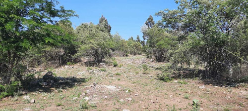 Imagen 5 de 13 de Ref.535.se Vende Lote Sobre Costa De Lago Los Molinos !