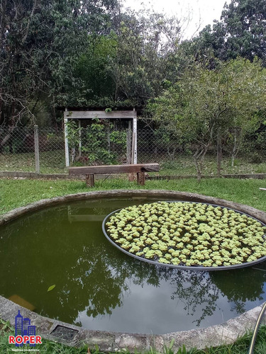 Imagem 16 de 29 de Excelente Chácara De 2.000 Com Fundos Para O Rio À Venda Em Guararema. - Ch01041 - 70731159