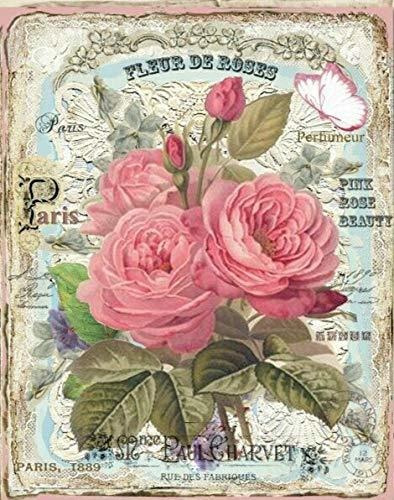 Cartel Floral Francés Pintura Vintage Cartel De Chapa Para G