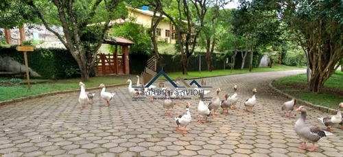Imagem 7 de 15 de Super Oportunidade!!!! 2 Terrenos Vizinhos Em Condomínio Km 39 Da Raposo! - 471