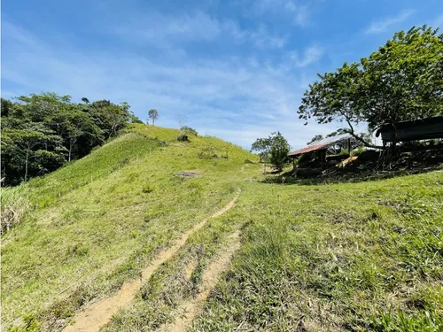 Se Vende Finca Productiva En San Roque, Antioquia.