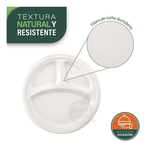 Berry Green 125 platos grandes con divisiones 25.8 cm (10 pulgadas) compostables de fibra de caña de azúcar resistentes a líquidos ecológicos ideales para comidas completas