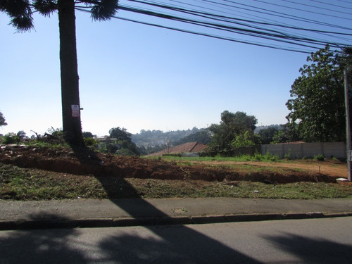 Imagem 6 de 6 de Terreno Para Venda - 10600.2063