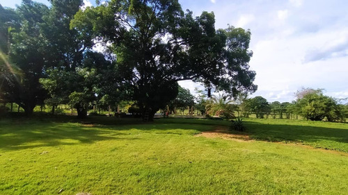 Imagen 5 de 12 de Finca Agropecuaria En Guanare, Portuguesa En Venta